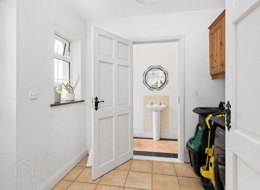 Ticknevin, Carbury, W91A0V9
