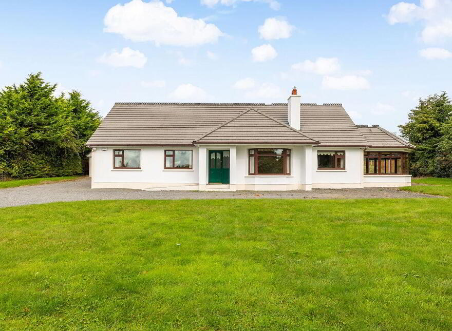 Fern, Cribbons Lane, Rathangan, R51R922 photo