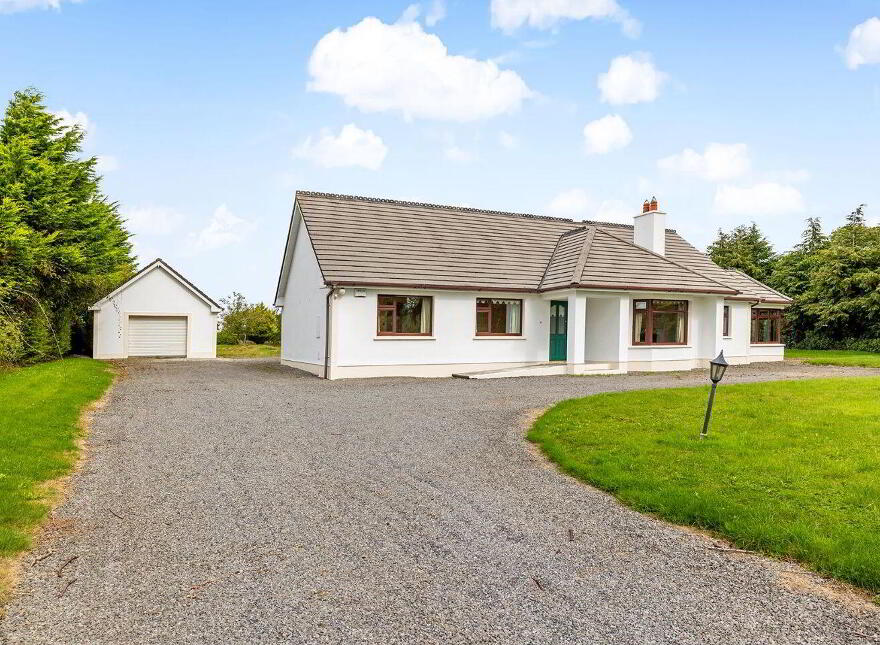 Fern, Cribbons Lane, Rathangan, R51R922