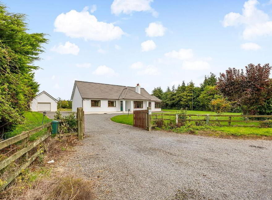 Fern, Cribbons Lane, Rathangan, R51R922