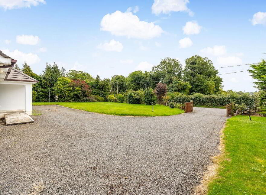 Fern, Cribbons Lane, Rathangan, R51R922