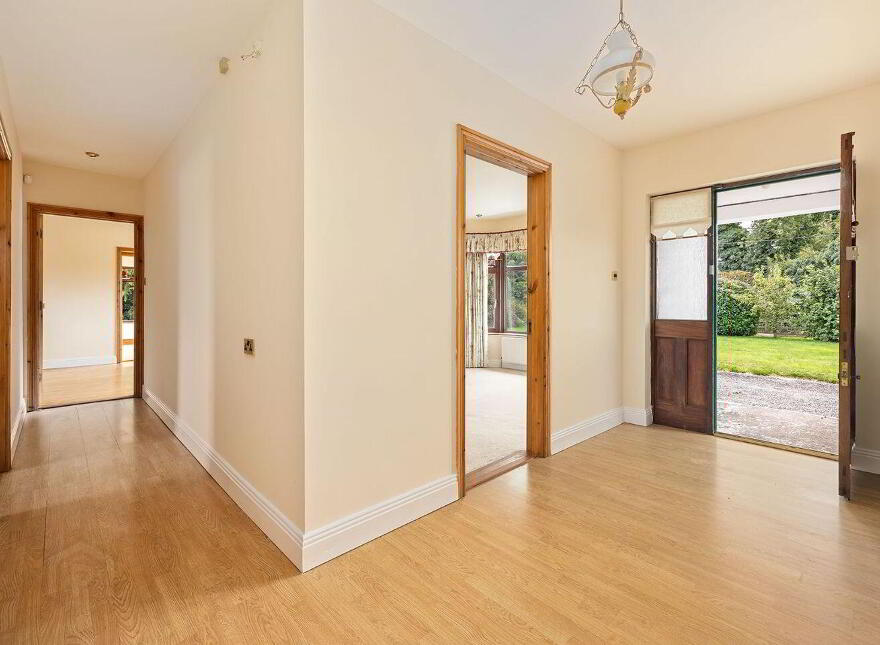 Fern, Cribbons Lane, Rathangan, R51R922