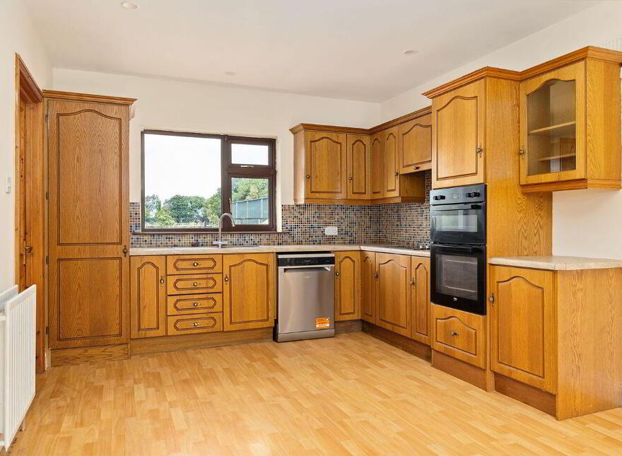 Fern, Cribbons Lane, Rathangan, R51R922