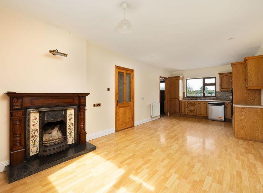 Fern, Cribbons Lane, Rathangan, R51R922