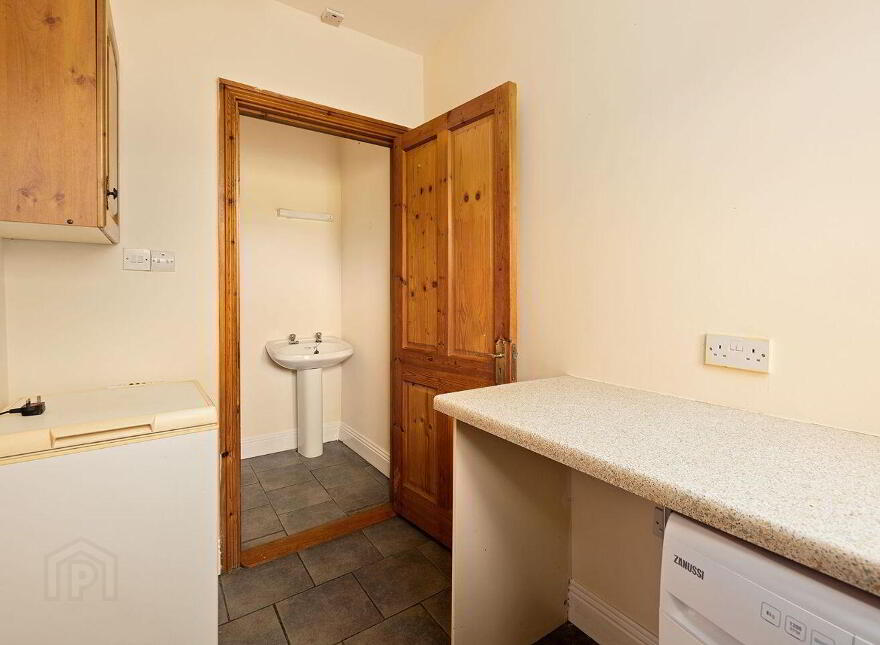 Fern, Cribbons Lane, Rathangan, R51R922