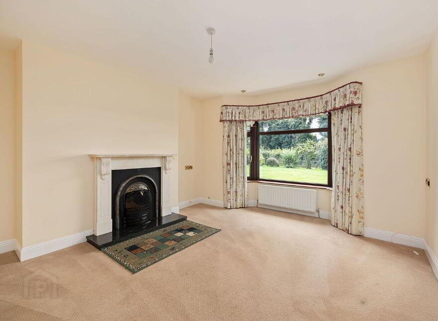 Fern, Cribbons Lane, Rathangan, R51R922