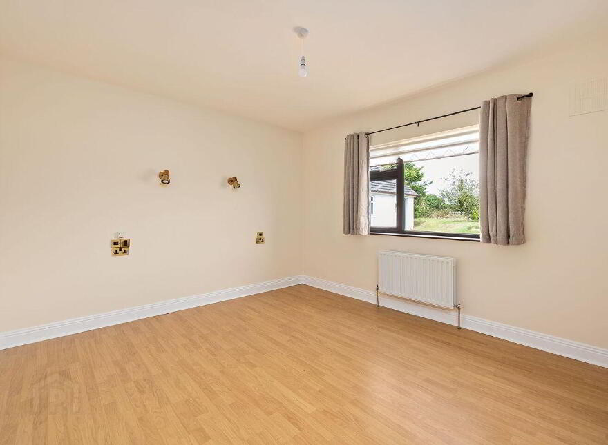 Fern, Cribbons Lane, Rathangan, R51R922