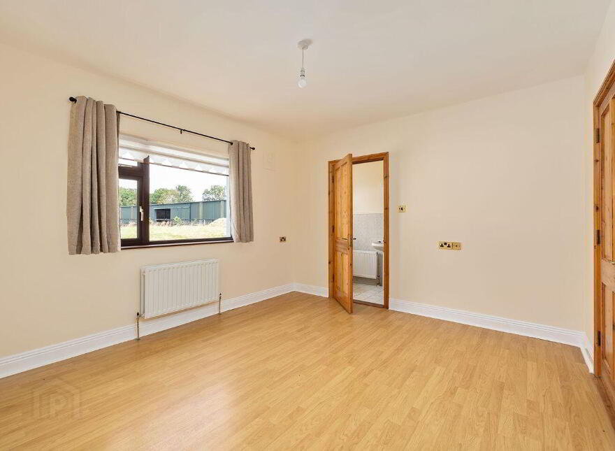 Fern, Cribbons Lane, Rathangan, R51R922