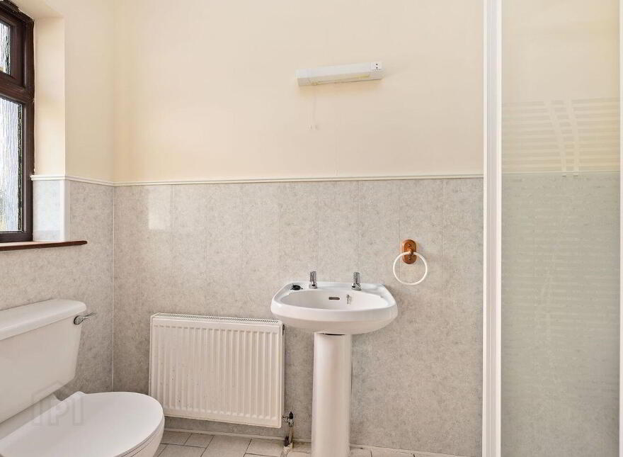 Fern, Cribbons Lane, Rathangan, R51R922