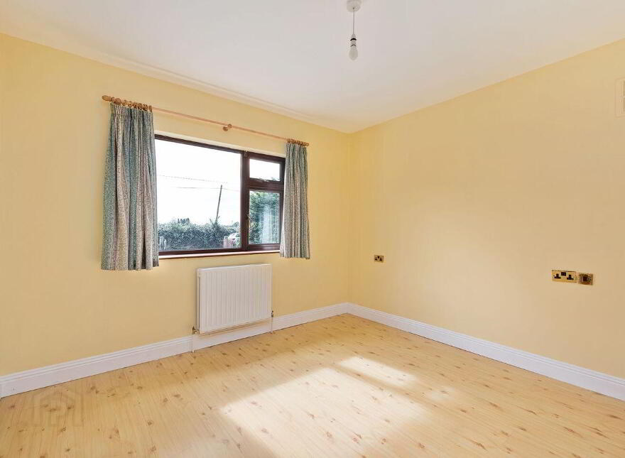 Fern, Cribbons Lane, Rathangan, R51R922