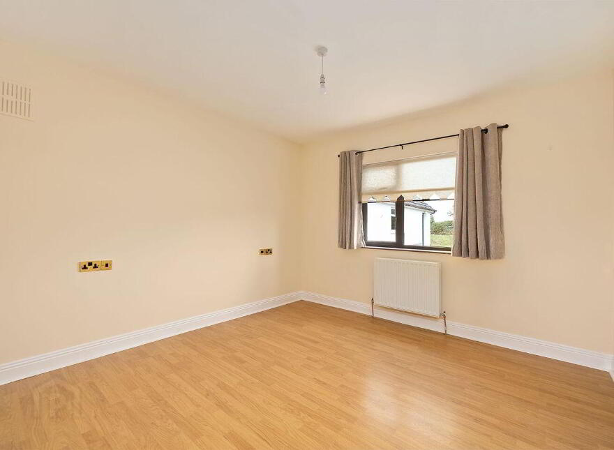 Fern, Cribbons Lane, Rathangan, R51R922