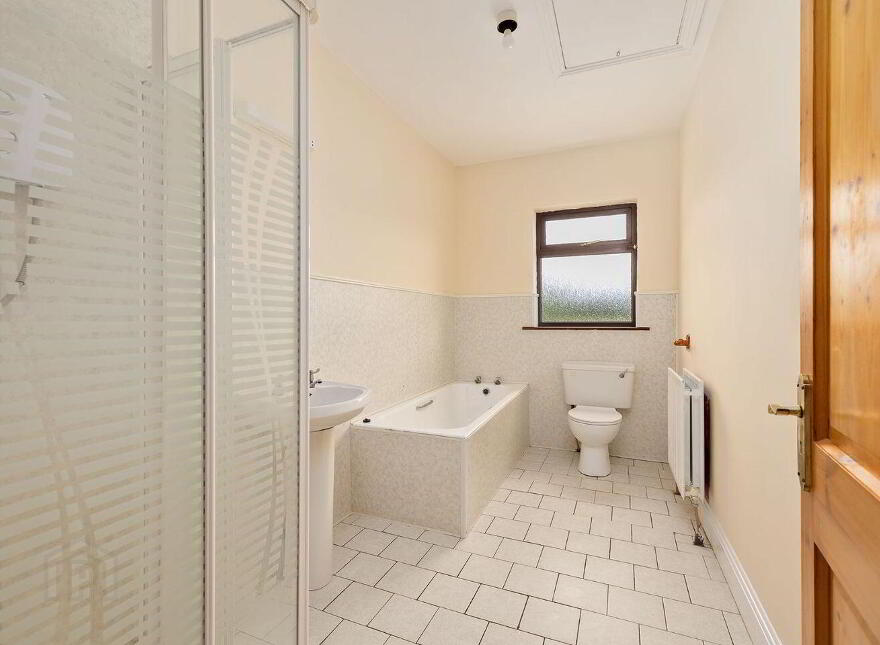 Fern, Cribbons Lane, Rathangan, R51R922
