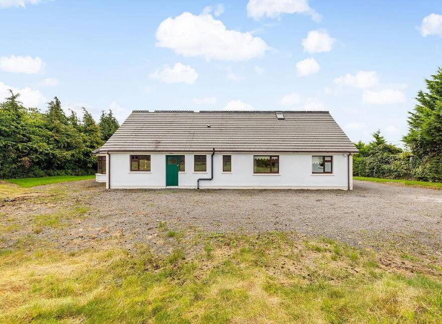 Fern, Cribbons Lane, Rathangan, R51R922