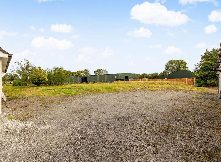Fern, Cribbons Lane, Rathangan, R51R922