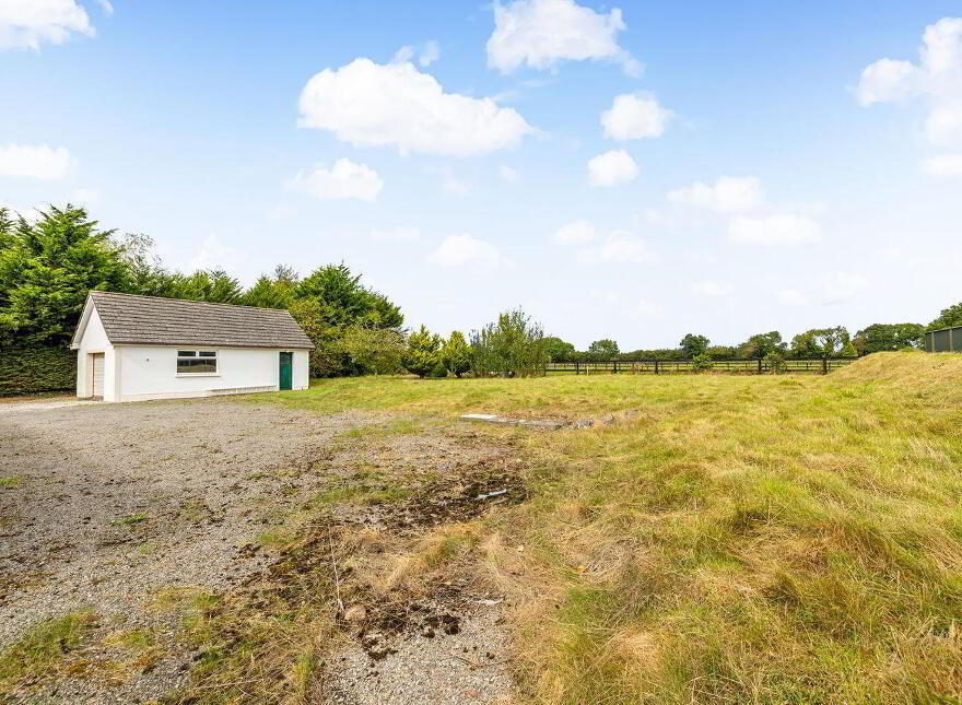 Fern, Cribbons Lane, Rathangan, R51R922
