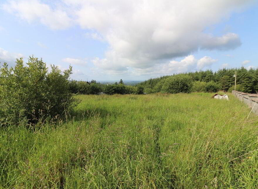 Cooleycasey, Sixmilebridge, V95N296