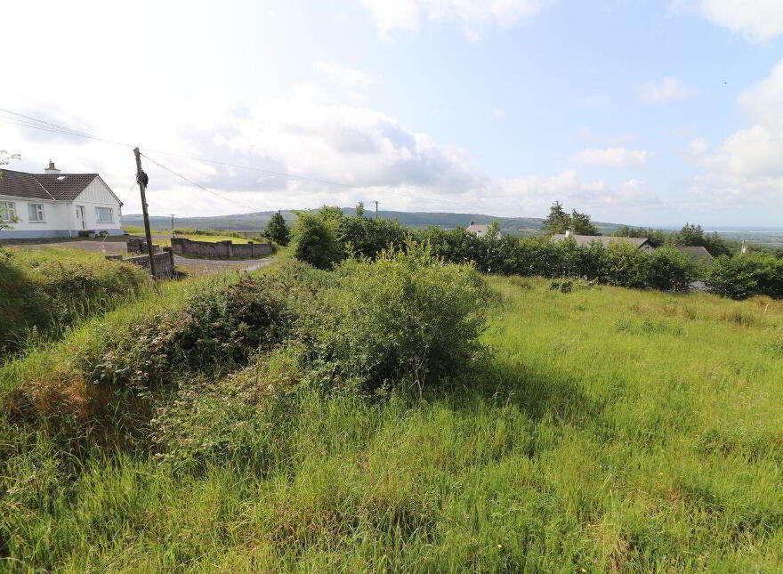 Cooleycasey, Sixmilebridge, V95N296