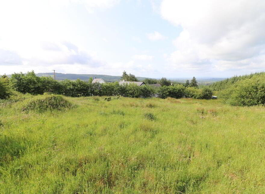 Cooleycasey, Sixmilebridge, V95N296