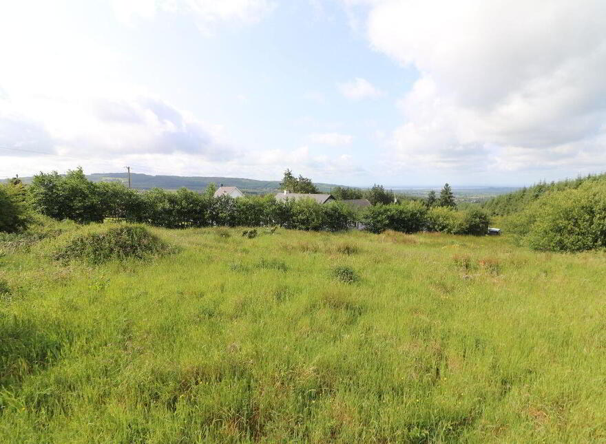 Cooleycasey, Sixmilebridge, V95N296