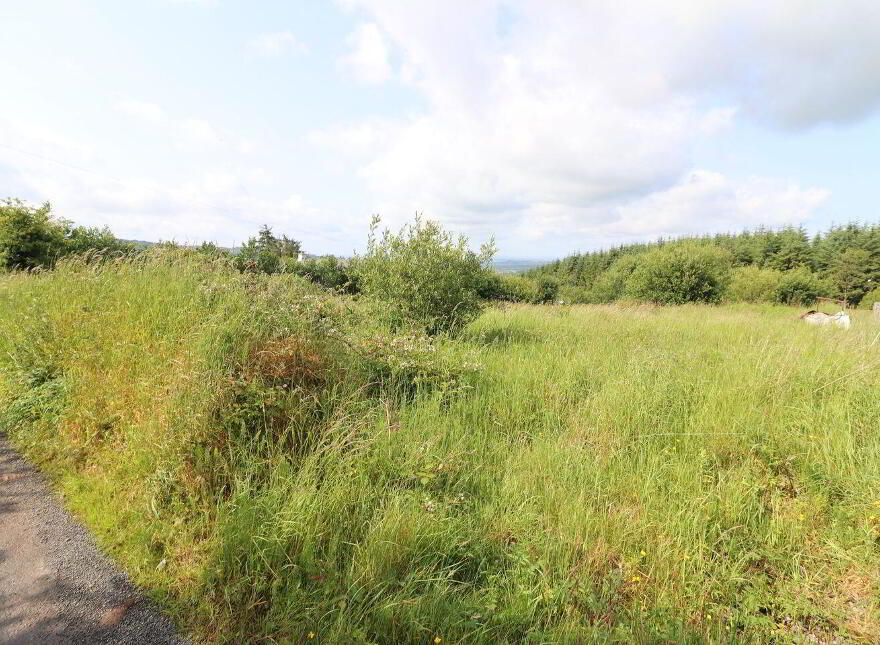 Cooleycasey, Sixmilebridge, V95N296
