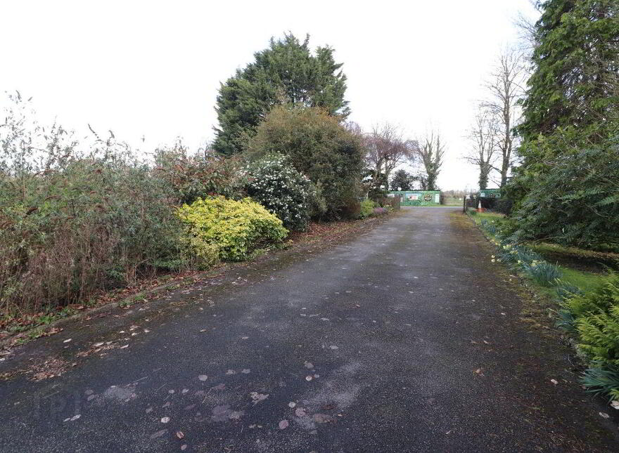 Willowdale, Barnakyle, Patrickswell, V94CX5Y