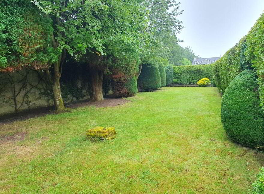 Inisfree, South Circular Road, V94TEH4