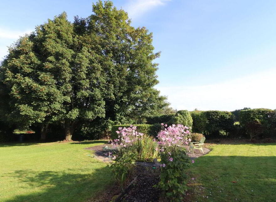 Knockbrack, Ahane, Ahane, V94N81P