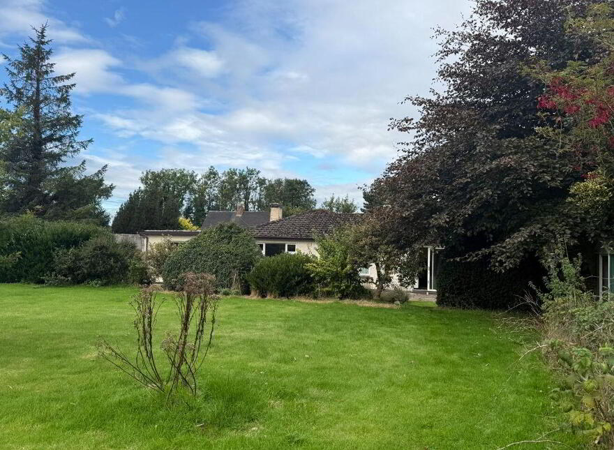 Naomh Antoin, Ballysimon, V94F50F