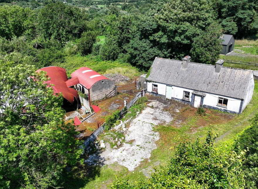 Brocklagh, Drumlish