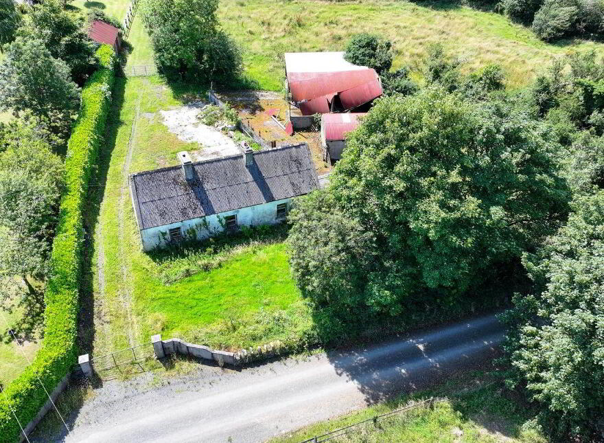 Brocklagh, Drumlish
