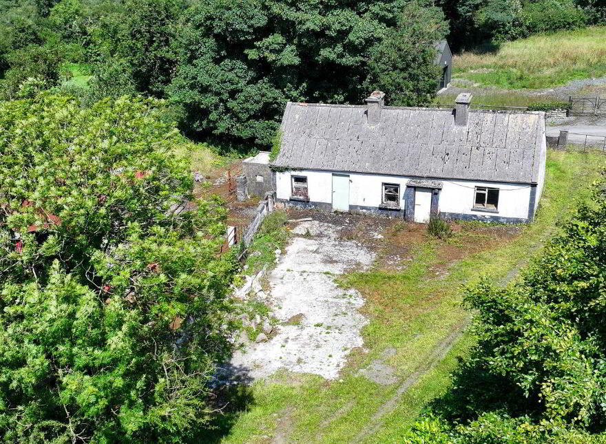 Brocklagh, Drumlish