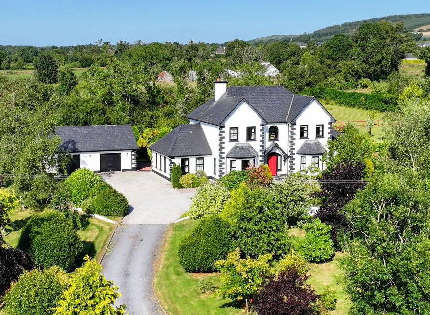 Brocklagh, Drumlish, Ballinamuck, N39XH39 photo