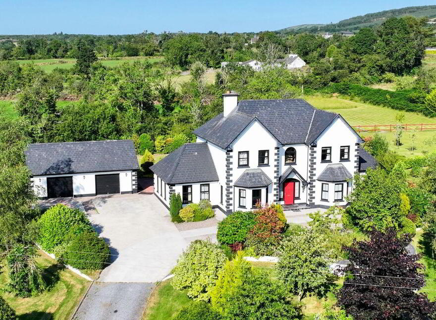 Brocklagh, Drumlish, Ballinamuck, N39XH39