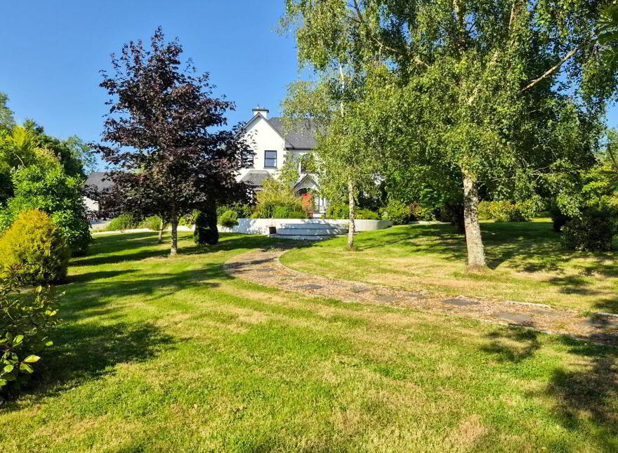 Brocklagh, Drumlish, Ballinamuck, N39XH39