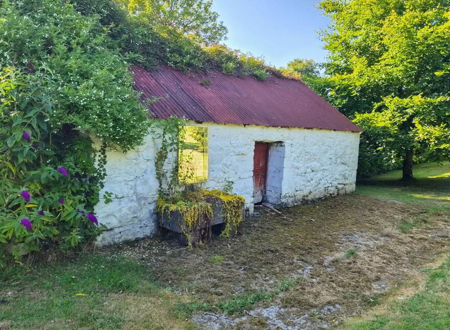 Brocklagh, Drumlish, Ballinamuck, N39XH39