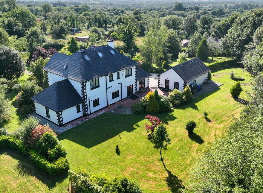 Brocklagh, Drumlish, Ballinamuck, N39XH39
