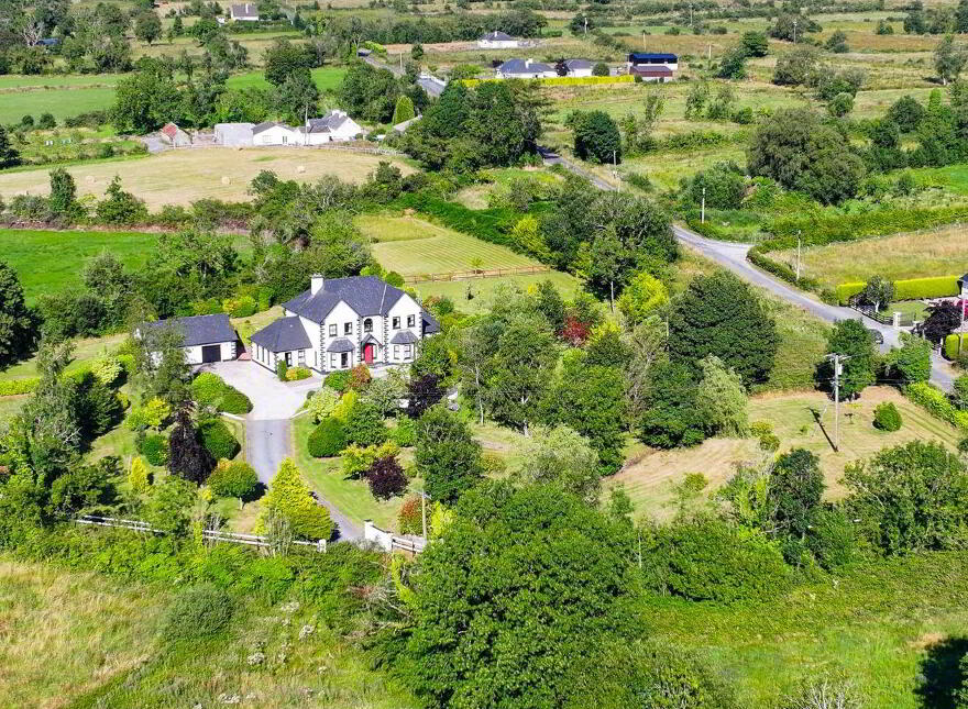 Brocklagh, Drumlish, Ballinamuck, N39XH39