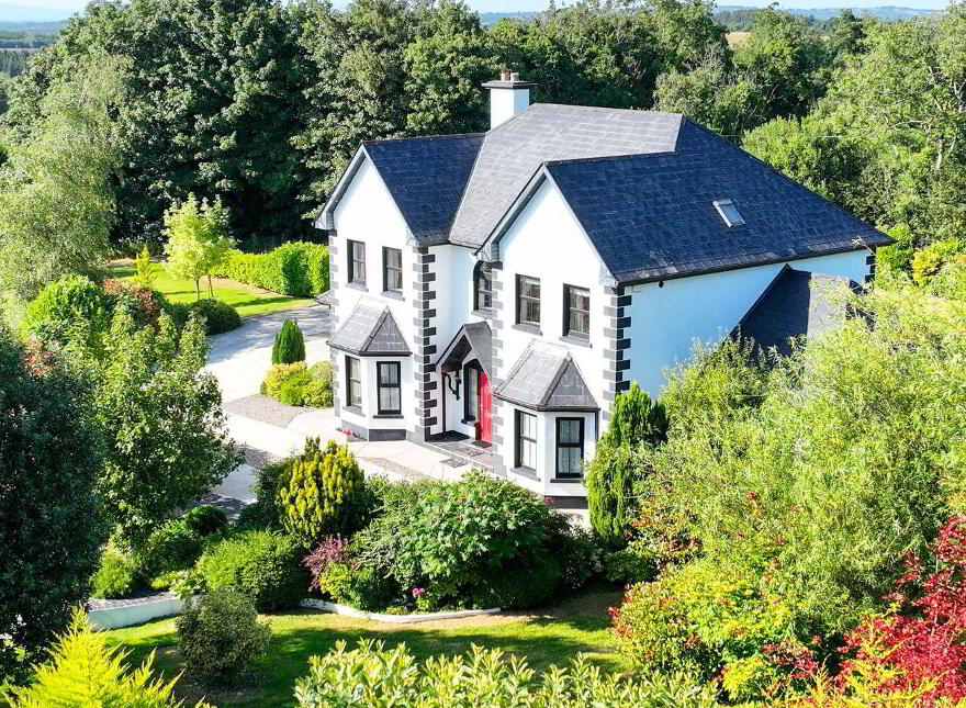 Brocklagh, Drumlish, Ballinamuck, N39XH39