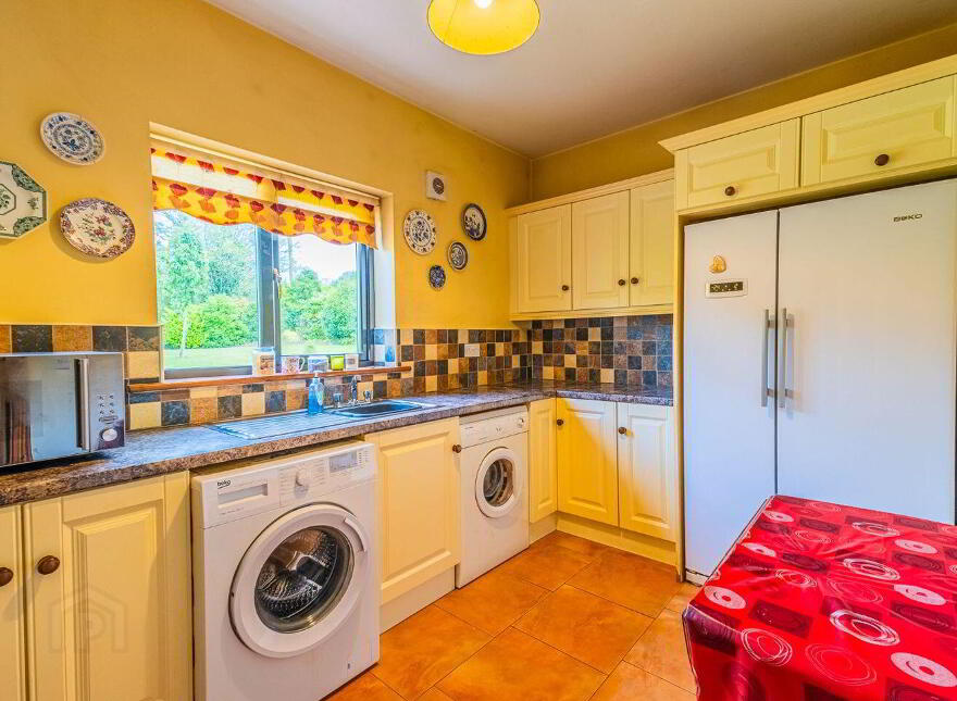 Brocklagh, Drumlish, Ballinamuck, N39XH39