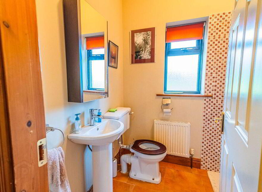 Brocklagh, Drumlish, Ballinamuck, N39XH39