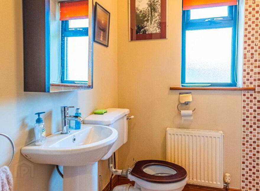 Brocklagh, Drumlish, Ballinamuck, N39XH39