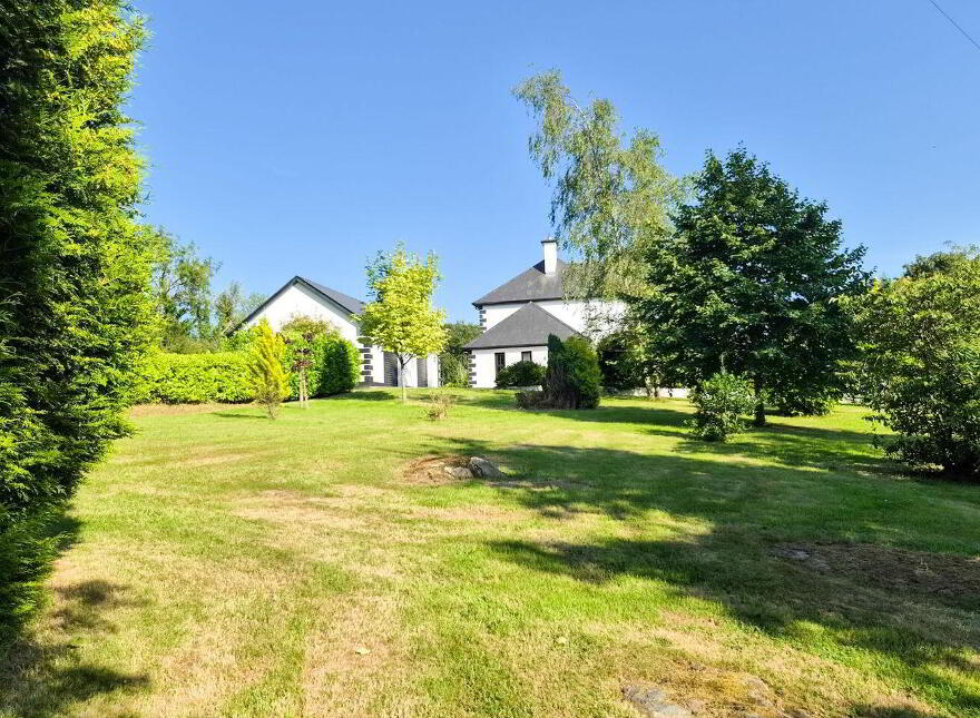 Brocklagh, Drumlish, Ballinamuck, N39XH39