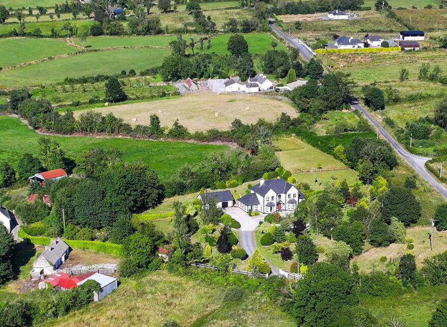 Brocklagh, Drumlish, Ballinamuck, N39XH39