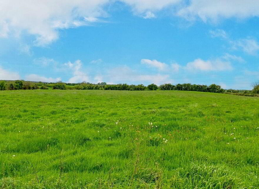 Paddinstown, Ballynacargy, Ballynacarrigy, N91PC53