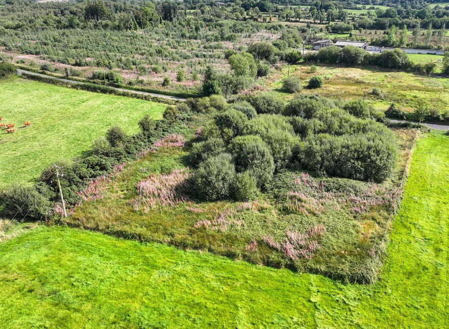 Cattan, Mohill