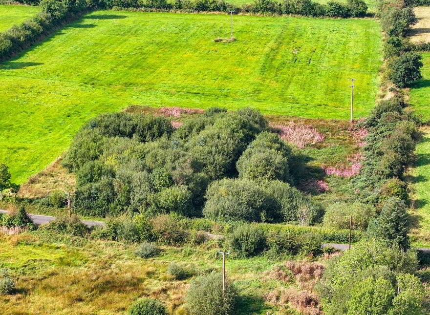 Cattan, Mohill