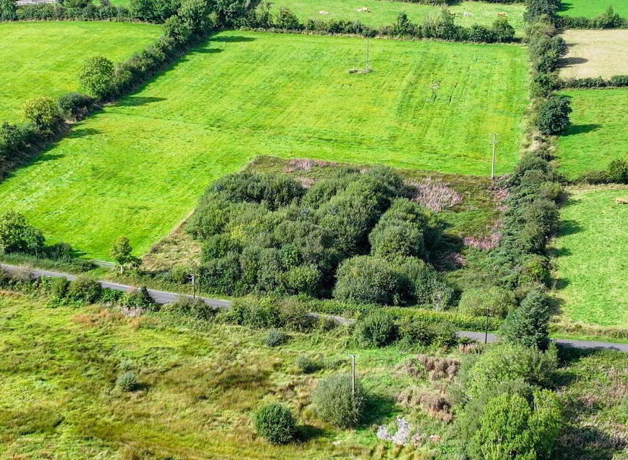 Cattan, Mohill