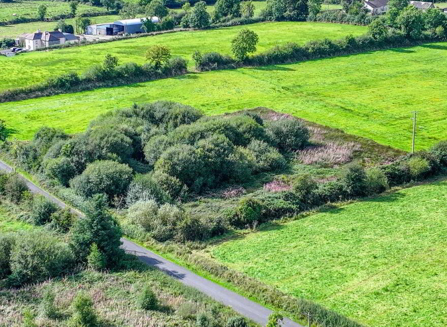 Cattan, Mohill