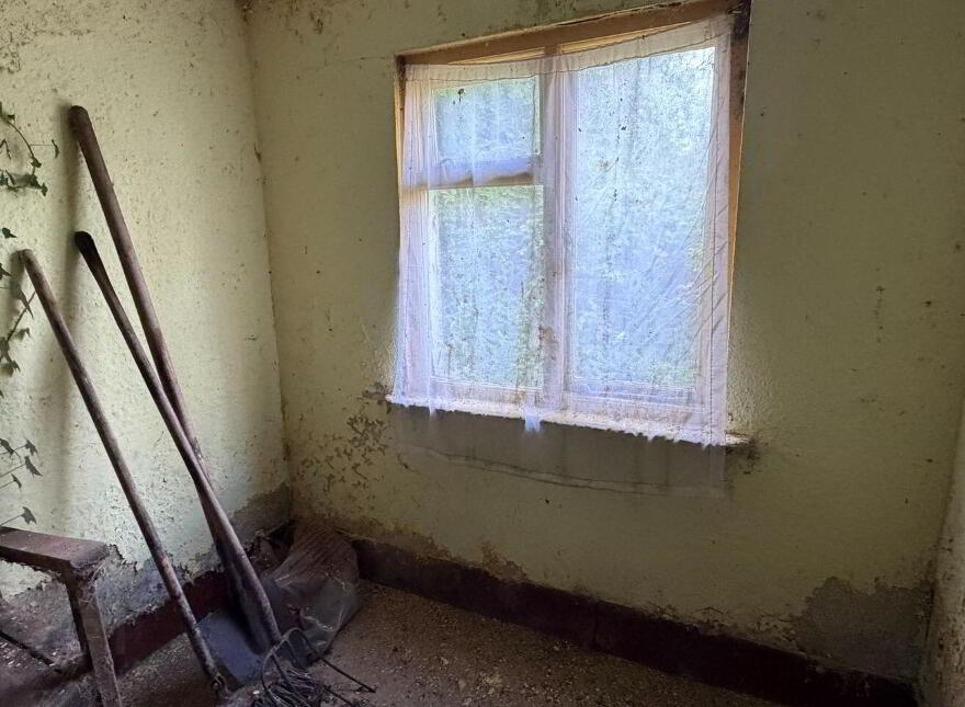 Cloncowley, Drumlish, Ballinamuck, N39TR26