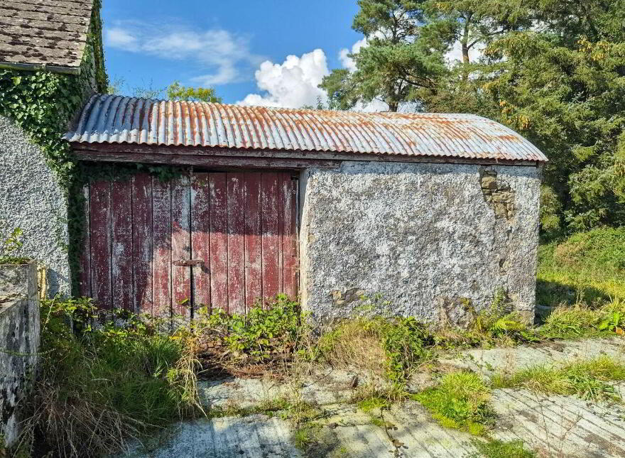 Cloncowley, Drumlish, Ballinamuck, N39TR26